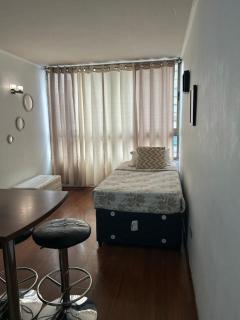 Departamento Santiago centro #9 - 1