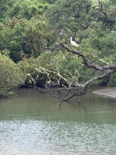 Bushy Retreat - Tawharanui - 5