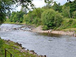 Little Blackhall Lodge - Banchory - 2