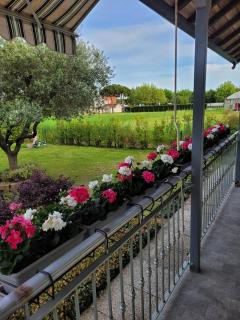 Nereide - Cavallino-Treporti - 5