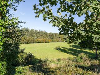 One The Stables - Dalrymple - 3