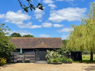 Maplehurst Barn Stables - Staplehurst - 0