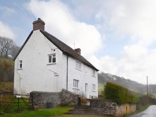 Upper Ffinnant - Aber-Brân - 0