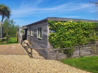 Bluebell Lodge - Holsworthy - 1