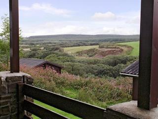 Lodge 18 Hartland Forest - Woolfardisworthy - 3