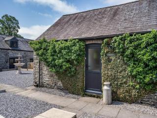 The Old Cowsheds 1- Dairy - Uk49786 - Cribyn - 6