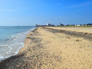 Mickrandella - Martham - 3