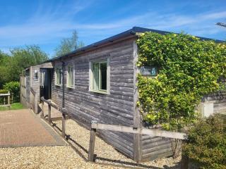 Primrose Lodge - Holsworthy - 0