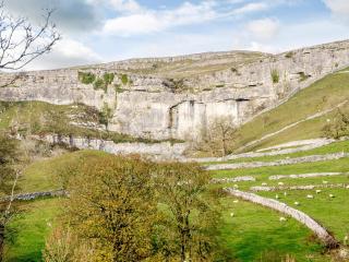 Cove View Cottage - Malham - 1
