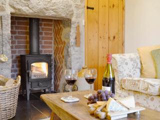 Granary Cottage - Saint Twynnells - 8