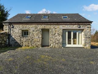 Aberserw Cottage - Trawsfynydd - 0