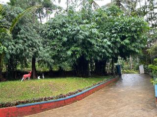 Silver Oak By Exuberance Stays (Independent Holiday Home) - Wayanad - 8