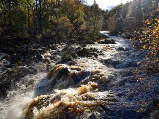 Toll Bridge Lodge - 9