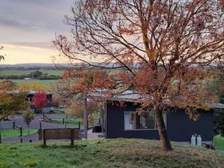Little Forest Cabins No 3 - Feilding - 8
