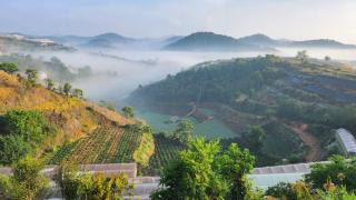 3 Tầng Mây Homestay & Coffee - Xuân Thọ - 5
