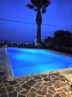 Spacious, Shiny, SeaView Villa, in Theologos - 8