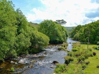 Fishermans Cottage - The Nook - Holne - 7