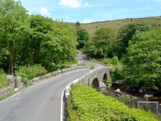 Fishermans Cottage - The Nook - Holne - 2
