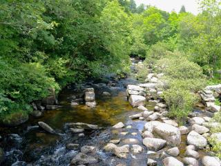 Fishermans Cottage - The Nook - Holne - 1