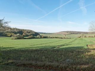 Drovers Cottage - East Meon - 2