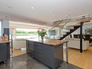 Silver Dawn - Horning - 4