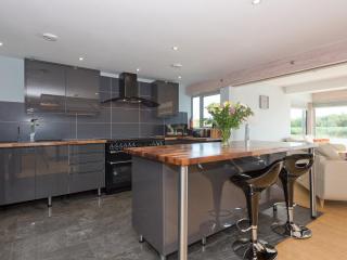 Silver Dawn - Horning - 3