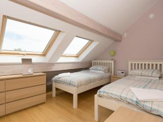 Silver Dawn - Horning - 7