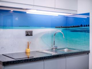 Little Heron - Uk40928 - Holdenhurst - 5