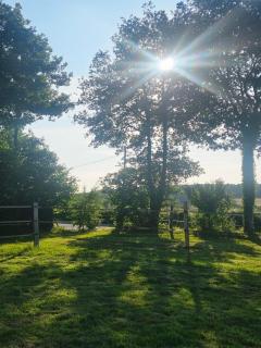 Chez Sam et Brice - Saint-Georges-Buttavent - 3