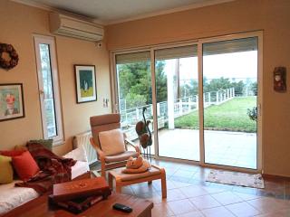 Spacious, Shiny, SeaView Villa, in Theologos - Theológos - 2