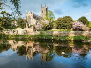 The Cottage - Bewdley - 2