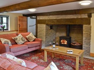 Mill Cottage - Peterchurch - 9
