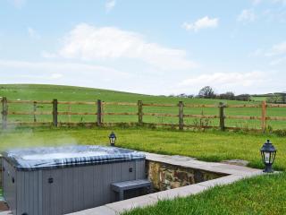 Bluebell Barn - Okehampton - 9