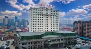 GreenTree Alliance Xingtai Ningjin County Phoenix Road Hotel - Ningjin - 4
