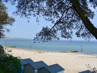 Heathfield Lodge - Bransgore - 1