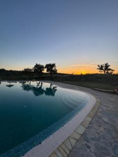 Alpaca Farm And B&B - Mama Adama - Grândola - 9
