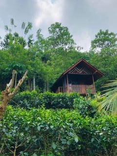 Sinharaja Forest Lodge - Deniyaya - Dombagoda - 0