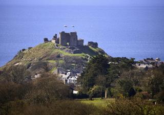 Ynys Pandy - Llanfihangel-y-pennant - 1