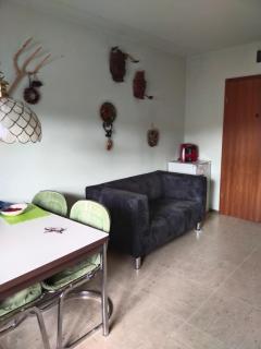 Apartment in Sankt Englmar, Bavaria - Sankt Englmar - 1