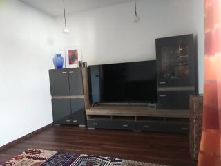 Apartment in Sankt Englmar, Bavaria - Sankt Englmar - 6