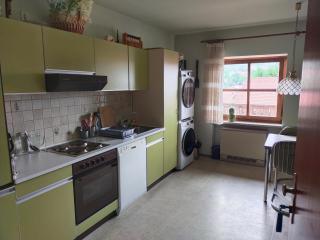 Apartment in Sankt Englmar, Bavaria - Sankt Englmar - 4