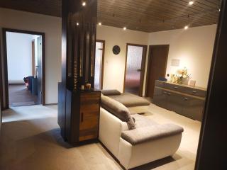 Apartment in Sankt Englmar, Bavaria - Sankt Englmar - 8