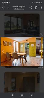 Apartmán Medvědí paseka - Jindřichův Hradec - 7