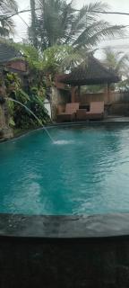 Budha yudistira - Ubud - 7