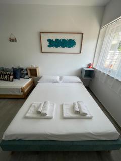 Grazioso Mono sulla Costa dei Trabocchi - 8