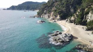 Flores de Fenals Apartments - Lloret de Mar - 3