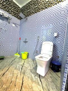 Dhundhleshwar resort Near Narayan pur dam basoli road D148 Bundi - - 8