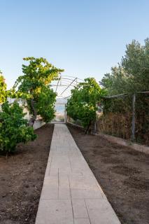 Cozy Beachfront Cottage with Sea Loungers & Outdoor Shower near Eretria - Eretria - 4