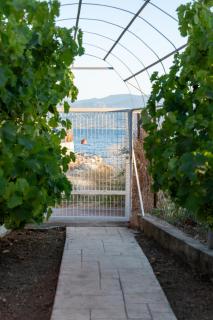 Cozy Beachfront Cottage with Sea Loungers & Outdoor Shower near Eretria - Eretria - 3