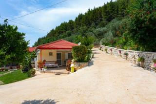 The View - - 7